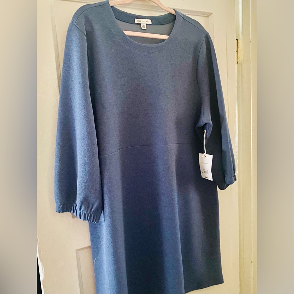 Free Assembly Blue Long Sleeve Dress